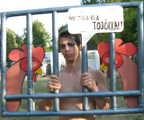 fauna-me-in-cage-as-chicken